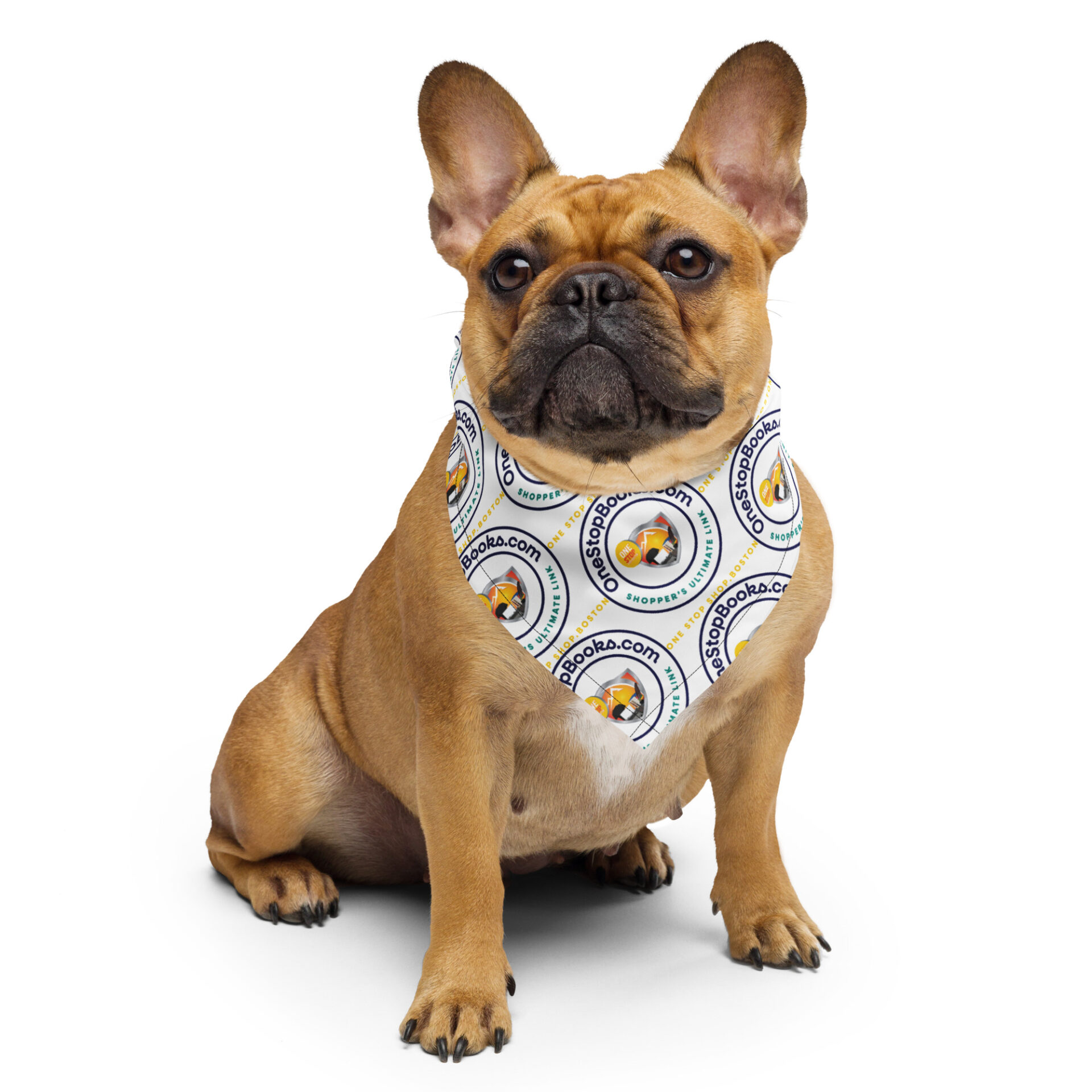 French bulldog wearing a white bandana.